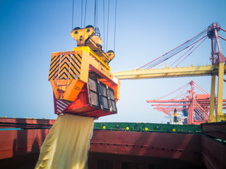 Raw sugar bulk is loading in hold's vessel by roll trainer.