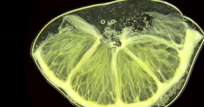 Lemon being squashed in slow motion to show fresh juice
