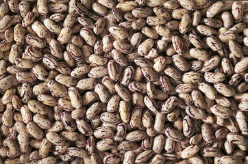 Texture di Fagioli Borlotti