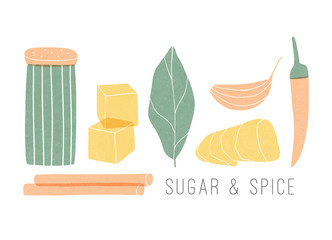 Cartoon spice set. Hand drawn colorful cooking illustration on the white background