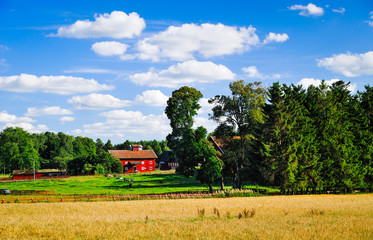 Tuna, Vimmerby, Kalmar län, Smaland, Schweden © Torsten Becker