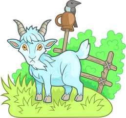 Funny goat walks on the farm
