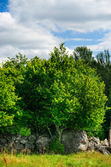 Natursteinmauer aus Findlingen Feldsteinen, Vassemåla, , Vimmerby, Kalmar län, Smaland, Schweden © Torsten Becker