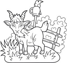 Funny goat walks on the farm
