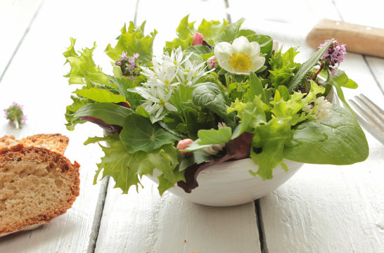 Essbare Blüten Blätter frischer Salatteller Salat Wildkräuter Wildgemüse