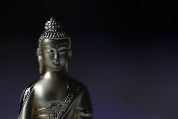 Fototapeta premium Buddha the messenger of God