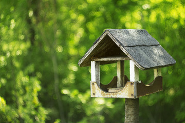 Birdhouse with beautiful green nature
