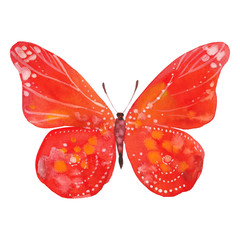 watercolor red  butterfly