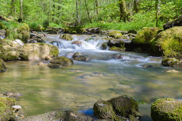 Bach - Fluss im grünen Sommerwald