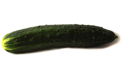 Cucumber on white background