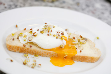 Benedict egg on white bread with sprouts on a white plate