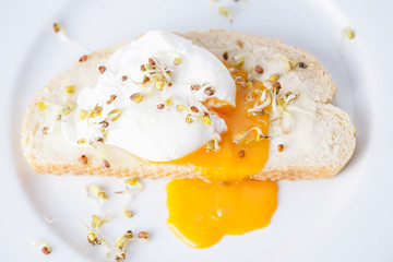 Benedict egg on white bread with sprouts on a white plate