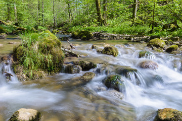 Idylle in der Natur 