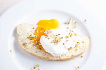 Benedict egg on white bread with sprouts on a white plate