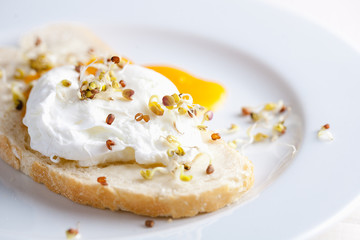 Benedict egg on white bread with sprouts on a white plate