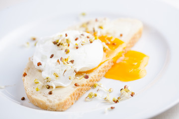 Benedict egg on white bread with sprouts on a white plate