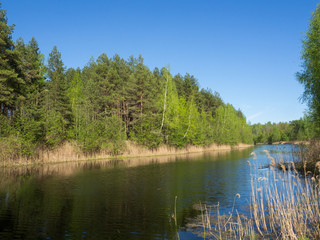 Fototapeta na wymiar forest river