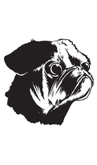 Pug
