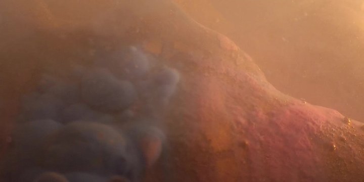 Abstract spherical models made of plasticine, immersed in liquid. Closeup. 4K. Camera RED.
