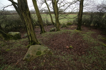 Remains of megalithic tomb Neu Negentin in Mecklenburg-Vorpommern, Germany