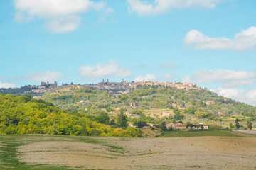 Fototapeta na wymiar Landscape of Montalcino
