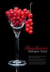 Red currants in cocktail glass against black background (focus on hanging currants)