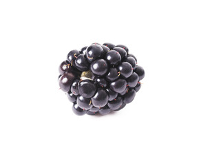 blackberry black natural white background