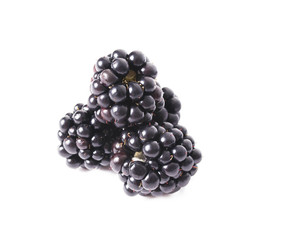 blackberry black natural white background