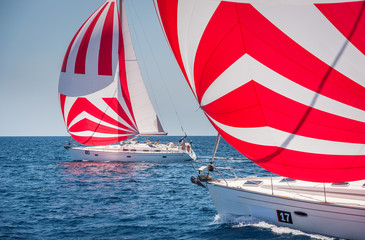 Two sailing boats with spinnaker during offshore race