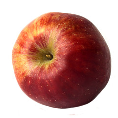 red apple on white background