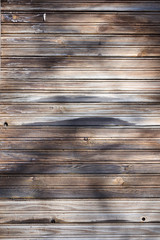 Fototapeta premium wooden house wall with shadows in the sun
