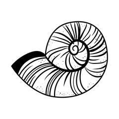 sea snail icon over white background. vector illustration