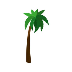 tropical palm icon over white background. vector illustration