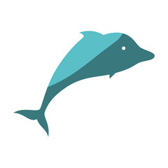 dolphin icon over white background. vector illustration