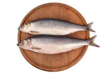 Herring on a white background