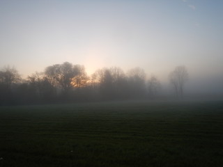 Fototapeta na wymiar foggy morning with shining sun