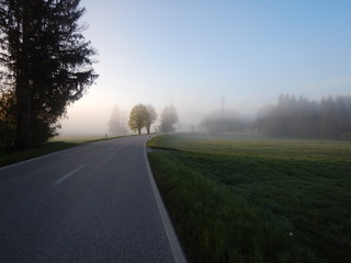 foggy morning with shining sun