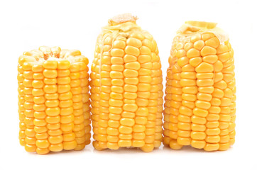 Corn on a white background
