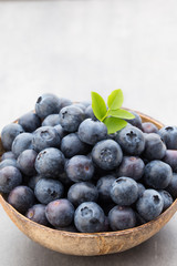 Fresh blueberries natural coconut in a bowl on a gray background.