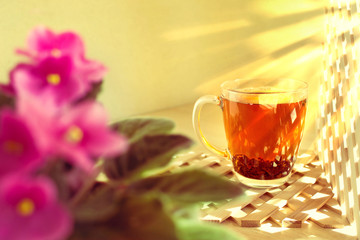 Cup glass of black tea on a wooden background. Morning, sunny and warm weather.Pink flowers of violets on the foreground are blurred and out of focus