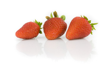 Three strawberries isolated on white background. Still-life picture taken in studio with soft-box.