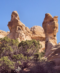 Fototapeta premium The Guardians / Hoodoos in Pilares Canyon near Aztec, New Mexico