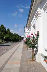 Alleestra&szlig;e in der Rosenstadt Putbus, Insel R&uuml;gen