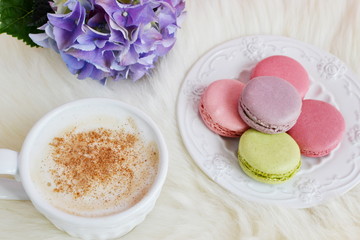 Fototapeta na wymiar French colorful macarons, white background