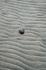 Small Rock in Sand Pattern on Beach