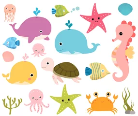 Printed kitchen splashbacks Sea life Cute sea animals for scrapbooking, baby showers and summer designs