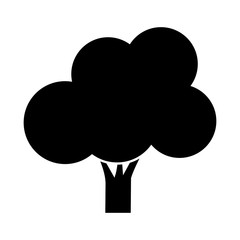 tree icon over white background. vector illustration
