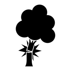 tree with broken trunk  icon over white background. vector illustration