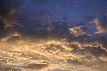Naklejka na ściany i meble Golden clouds in the rays of the setting sun