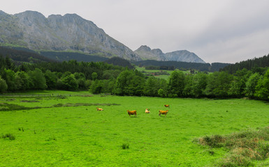 Los encantos de Arrazola ( Atxondo )